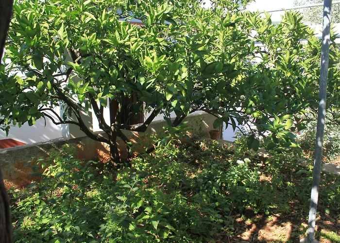 8397b Lukoran